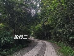 -紫金山山顶公园