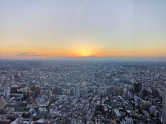 -东京都厅舍