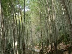 -黄山翡翠谷景区