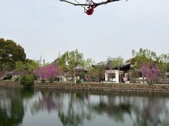 -无锡蠡湖国家湿地公园-蠡园