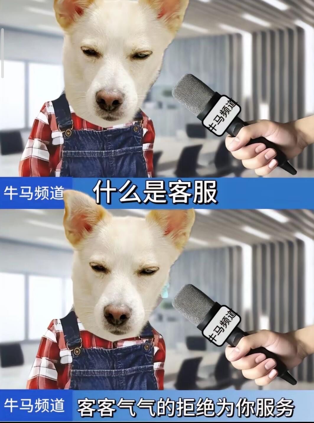 牛马
