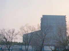 -阿里中心·杭州Z空间