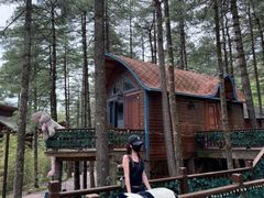 -洛阳白云山景区