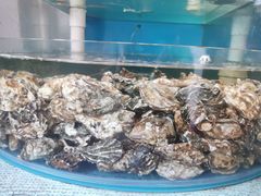 -同道蒸汽海鲜烧烤自助(刘庄夜市店)