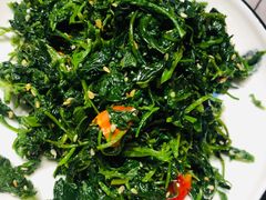 拌野菜-老磨油饼(高陵店)