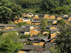 -杨家堂村