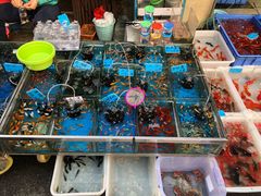 -清平路水族市场