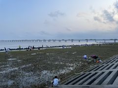 -南汇新城海滩