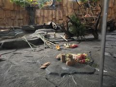 -泉州海丝野生动物世界