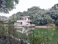 -金花茶公园