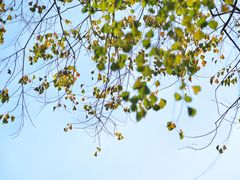 -华南国家植物园-售票处