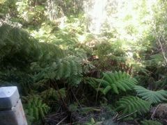 android_upload_pic-夏威夷火山国家公园