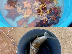 -前王院•巧克力海鲜市集餐厅(万平口店)