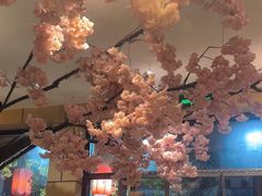 -九田家黑牛烤肉料理(华侨城店)