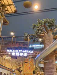 点击看大图 -卡通尼·Safari非洲探索乐园·生日会(金桥国际商业广场店)