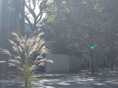 -夏朵花园(复兴西路店)