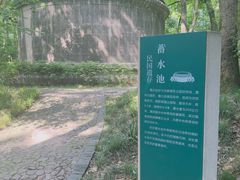 -灵谷景区
