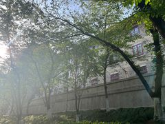 -武汉大学-樱园