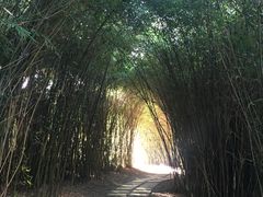 -苏州河梦清园环保主题公园