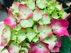 -国御温泉度假小镇