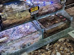 -岳各庄批发市场(西四环中路店)