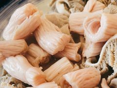 羊肚仁-金生隆(六铺炕店)
