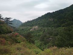 -木兰云雾山