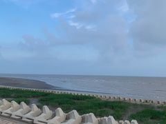 -南汇新城海滩