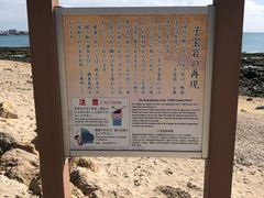 -濑长岛