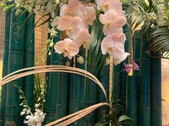 -广州天河希尔顿酒店