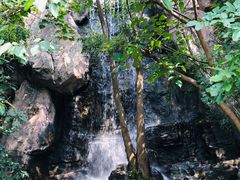 -天目湖山水园