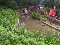 -恒大御景湾