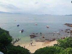 -杨梅坑