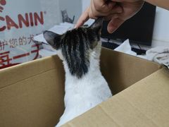 -乐琪宠物医院·犬猫专科·骨外科·急重症