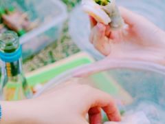 -灞河西岸滨河公园