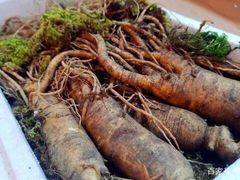 -洪湖藕王养生汤(安泰华庭店)