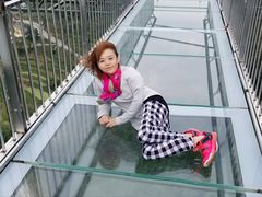 -梦幻奥陶纪景区