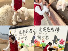 -乌村