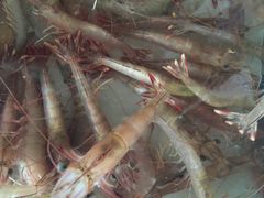 -浪琴湾尾角仔海鲜坊