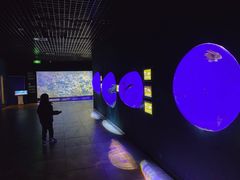 -江和美海洋公园