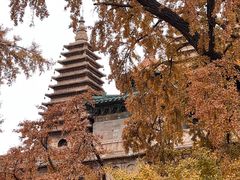 -北京石刻艺术博物馆(五塔寺)