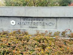 -上海崇明金茂凯悦酒店