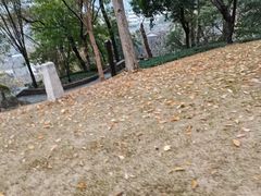 -磁器口古镇