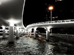 -演武大桥观景平台