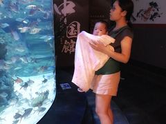 -成都浩海立方海洋公园