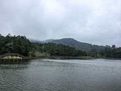 -海南热带雨林国家公园吊罗山景区