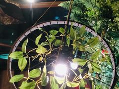 -胡桃里音乐酒馆(白云五号T5 MALL店)