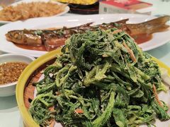 -老德州四合院·德州菜(天衢路店)
