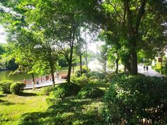 -西安汉城湖景区