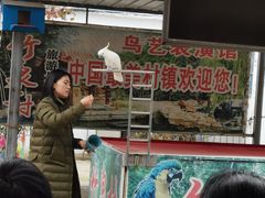 -竹泉村旅游度假区